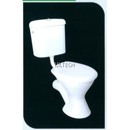 Low Level Wash Down Pedestal Wc