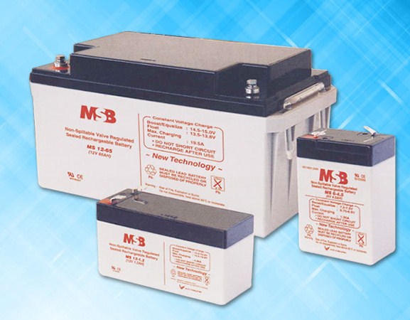 MSB 10 Hour Rate Battery rate - For UPS and Other Application (6V Model)